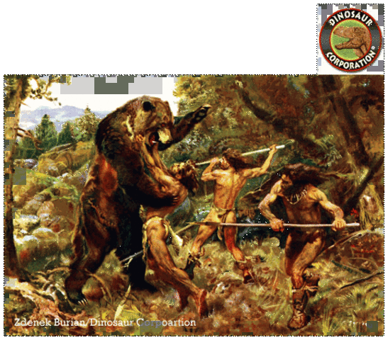 the first kind of humans appeared.