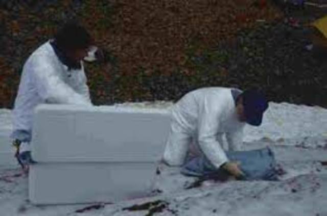 Getting into Torrington's Coffin