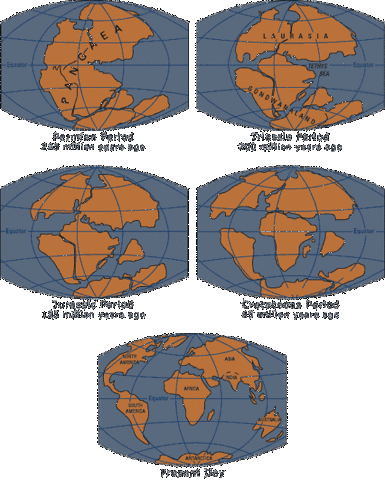 pangea comes to the world.