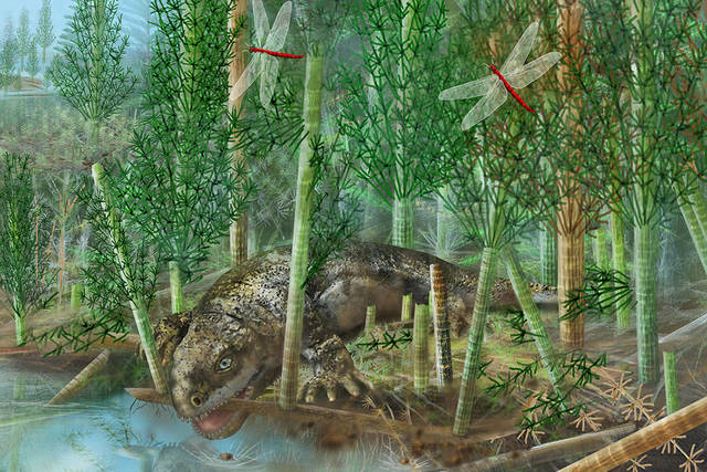 event #4 Pennsylvanian period