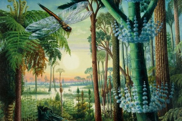 event #15 Pennsylvanian period