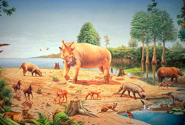 paleocene period