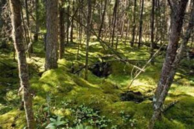 Mississipian Period Event #2