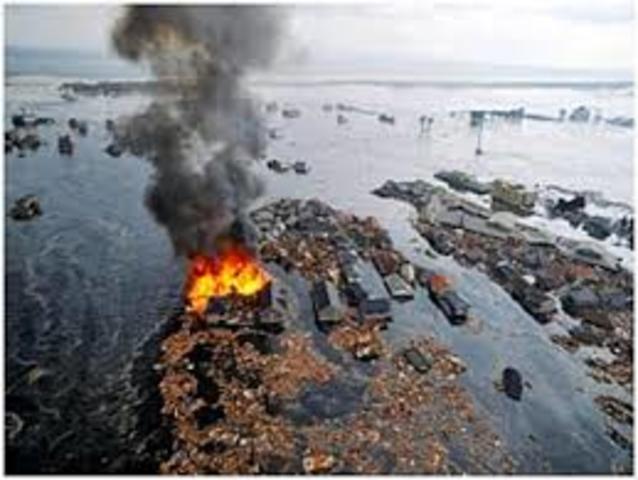 Tohoku Earthquake (Japan)