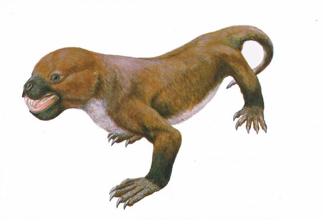Mammal-like reptiles appear