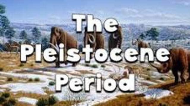 Pleistocene
