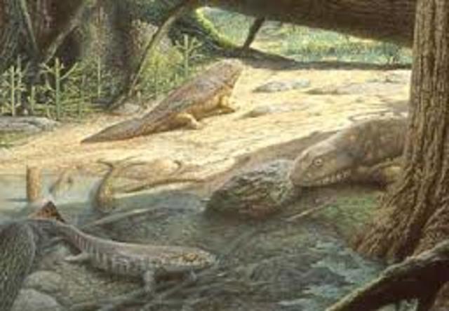 Mississippian Period