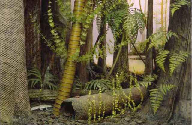 Carboniferous Pennsylvanian (318)
