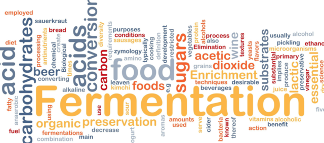 Microorganisms produce fermentation