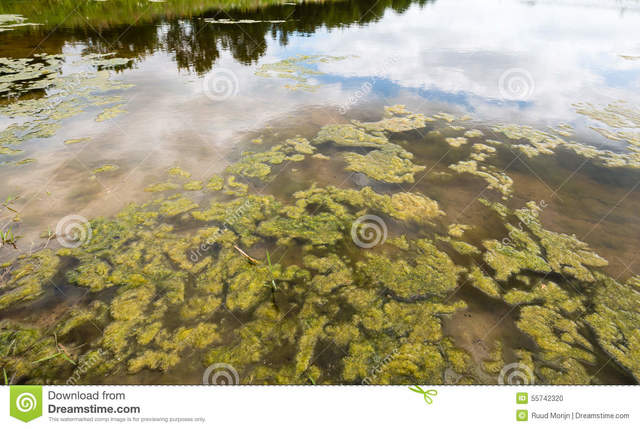 Pre- combrian time 4600 ma