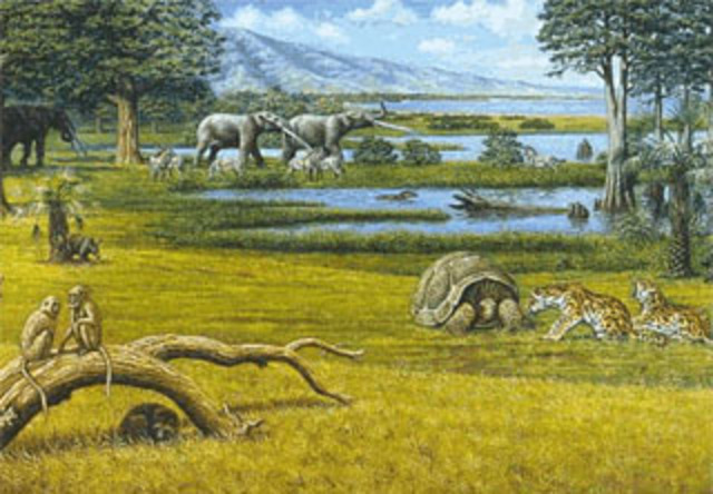 Pliocene