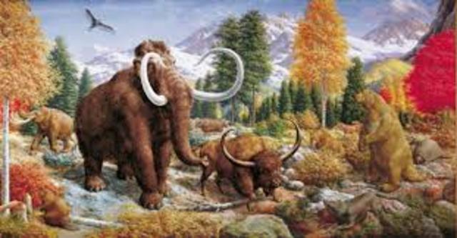 Pleistocene 1.8