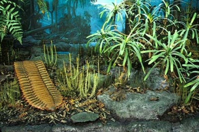 Pennsylvanian epoch, 318 million years ago