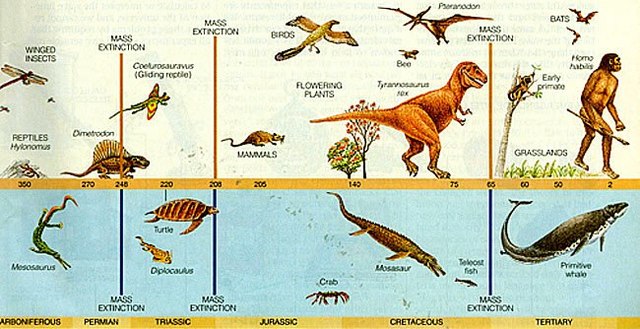 Precambrian period
