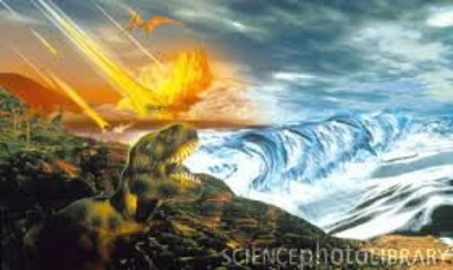 Cretaceous, 146 million years ago