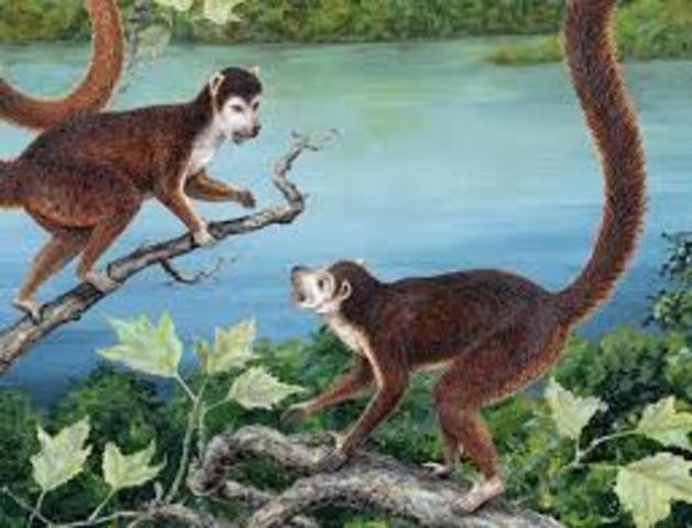 Paleocene, 65.5 million years ago