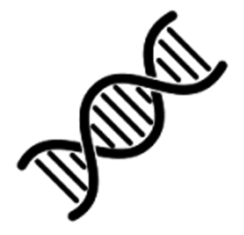 DNA is a double helix