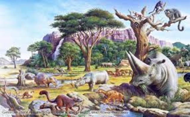 Paleocene Epoch