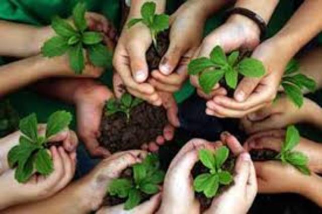 coloquio internacional sobre eduaciòn relativa del Medio Ambiente. Belgrado