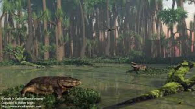 Paleozoic Carboniferous Missisipian