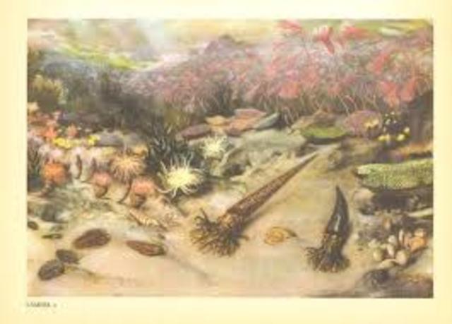 Silurian Period (444 MA)