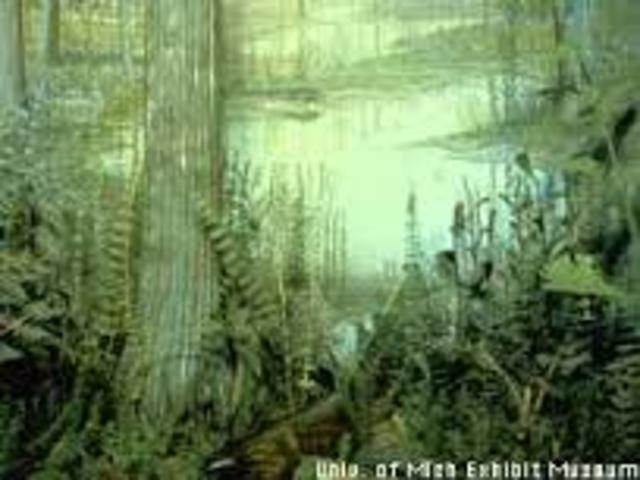 Carboniferous Pennsylvanian