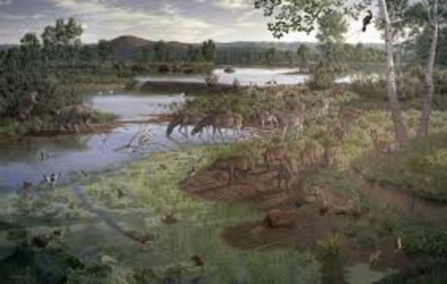 Pliocene Epoch