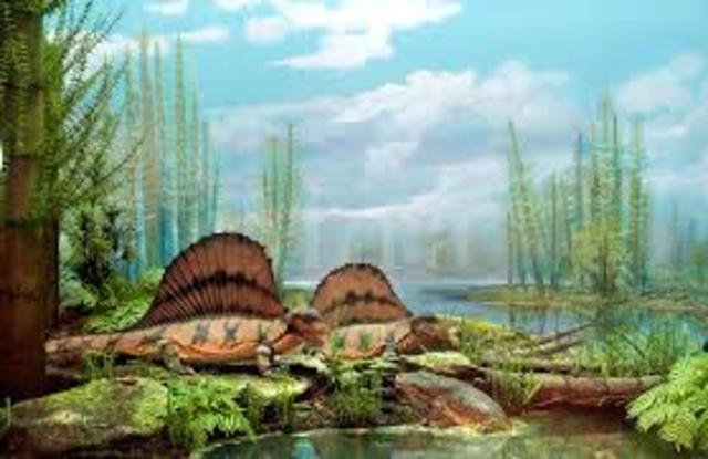 Permian Period (299 MA)