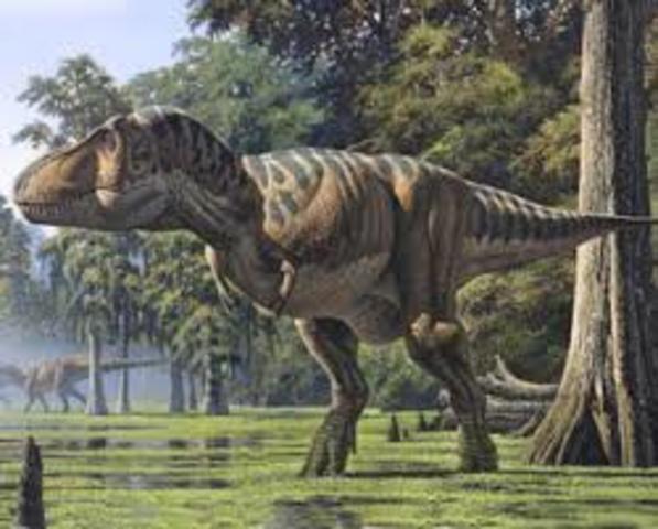 Mesozoic cretaceous