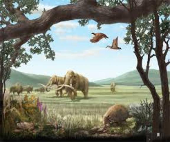 Pleistocene Epoch