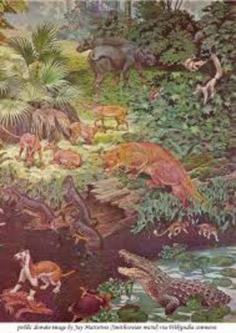 Eocene Epoch (55.8 MA)