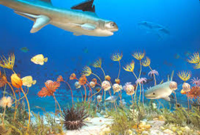 Mississippian-359 MA