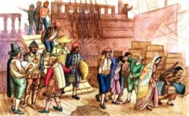 DESARROLLO COMERCIAL