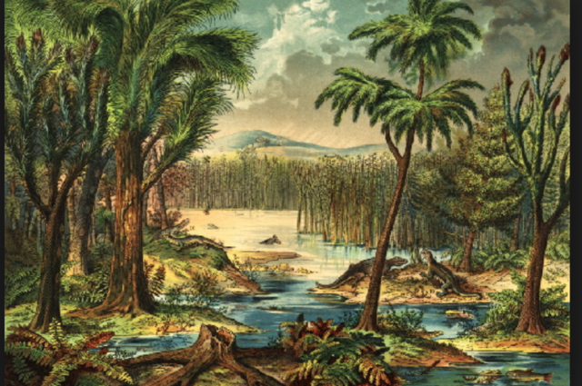 Carboniferous