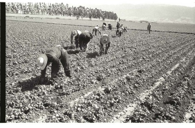 Bracero Agreement of 1942