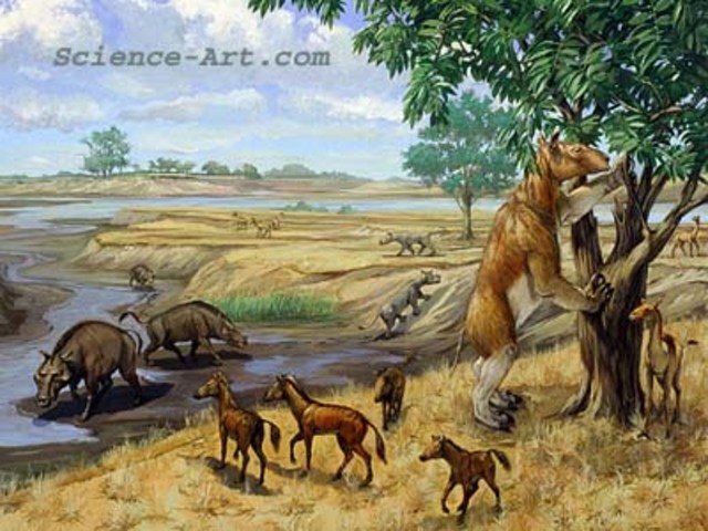 Miocene