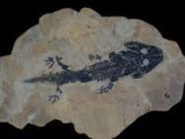 Devonian 416