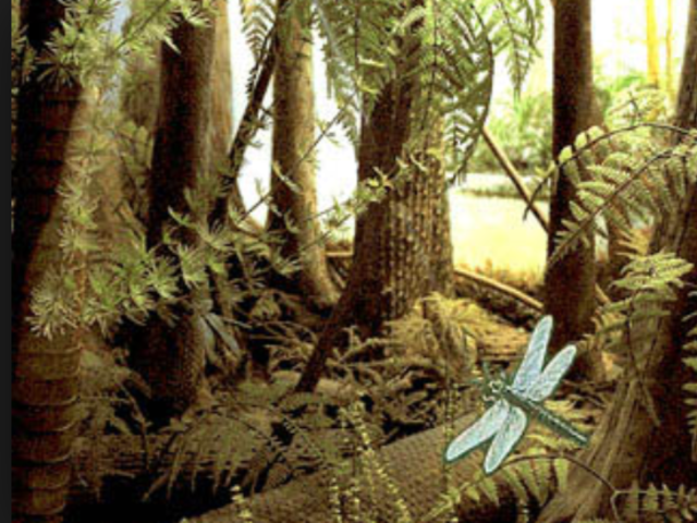 Pennsylvanian period