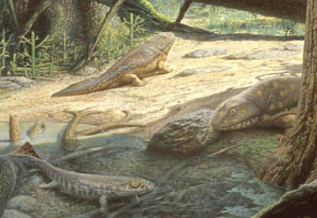 mississipplan period