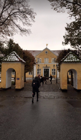 Silkeborg hovedgård