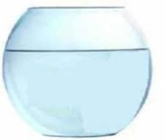 Se mueren mis 3 peces ;_(