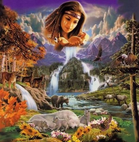 Aboriginals Evironment and Animism