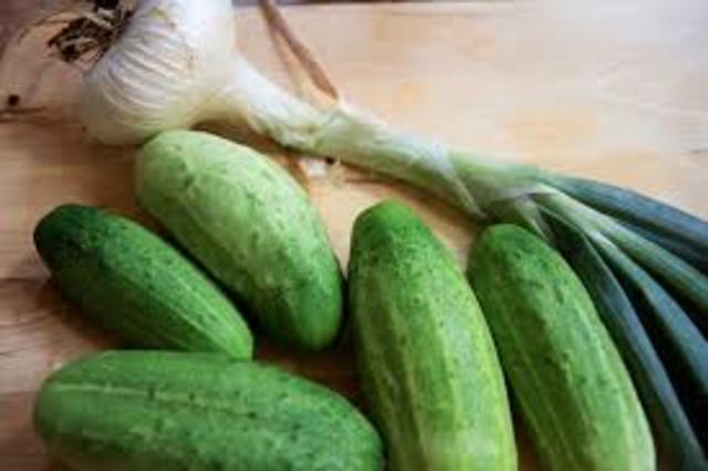 Cultural Consequence of the Encounter with the Europeans