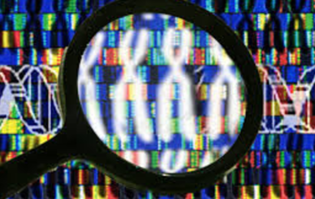 Human Genome Mapped