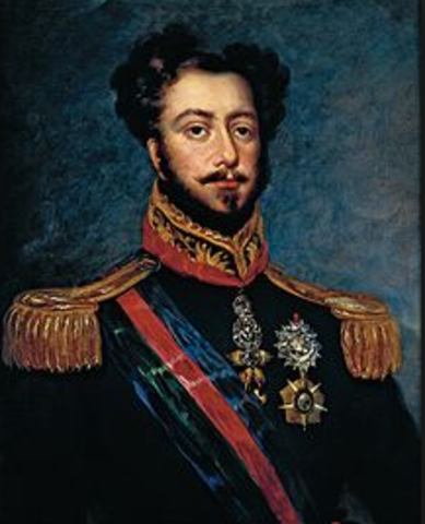 Dom Pedro Becomes King of Brazil