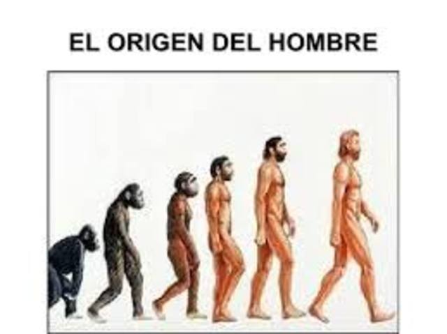 Origen del hombre