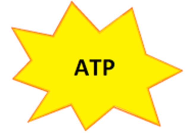 ATP