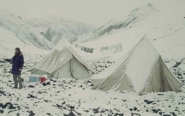 Beetie & researchers set up camp on Beechey island and hacked away the ice from John Torrington's body