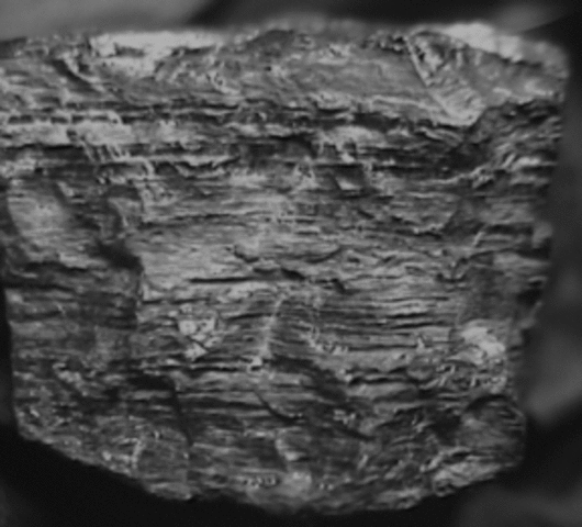 Carboniferous Pennslyvanian Period