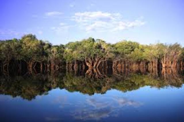 Mississippian Period 359 MA